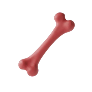 Bone Health